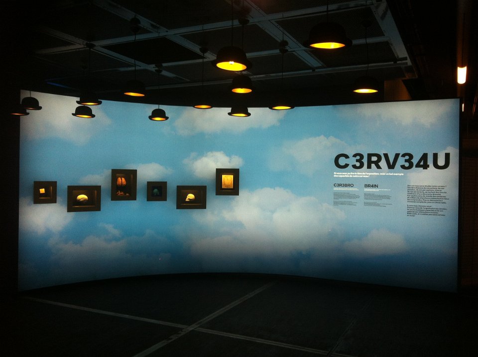 Expo Cerveau